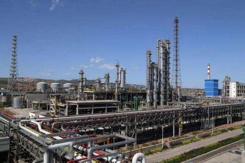 平煤神馬集團(tuán)尼龍科技二期己內(nèi)酰胺項(xiàng)目成功投料試車，年產(chǎn)20萬噸助力倉儲(chǔ)業(yè)升級(jí)